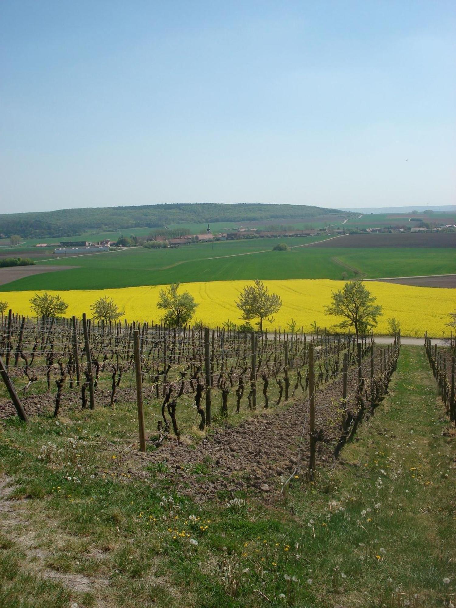 Landgasthof Zum Schwarzen Adler Markt Nordheim Eksteriør billede