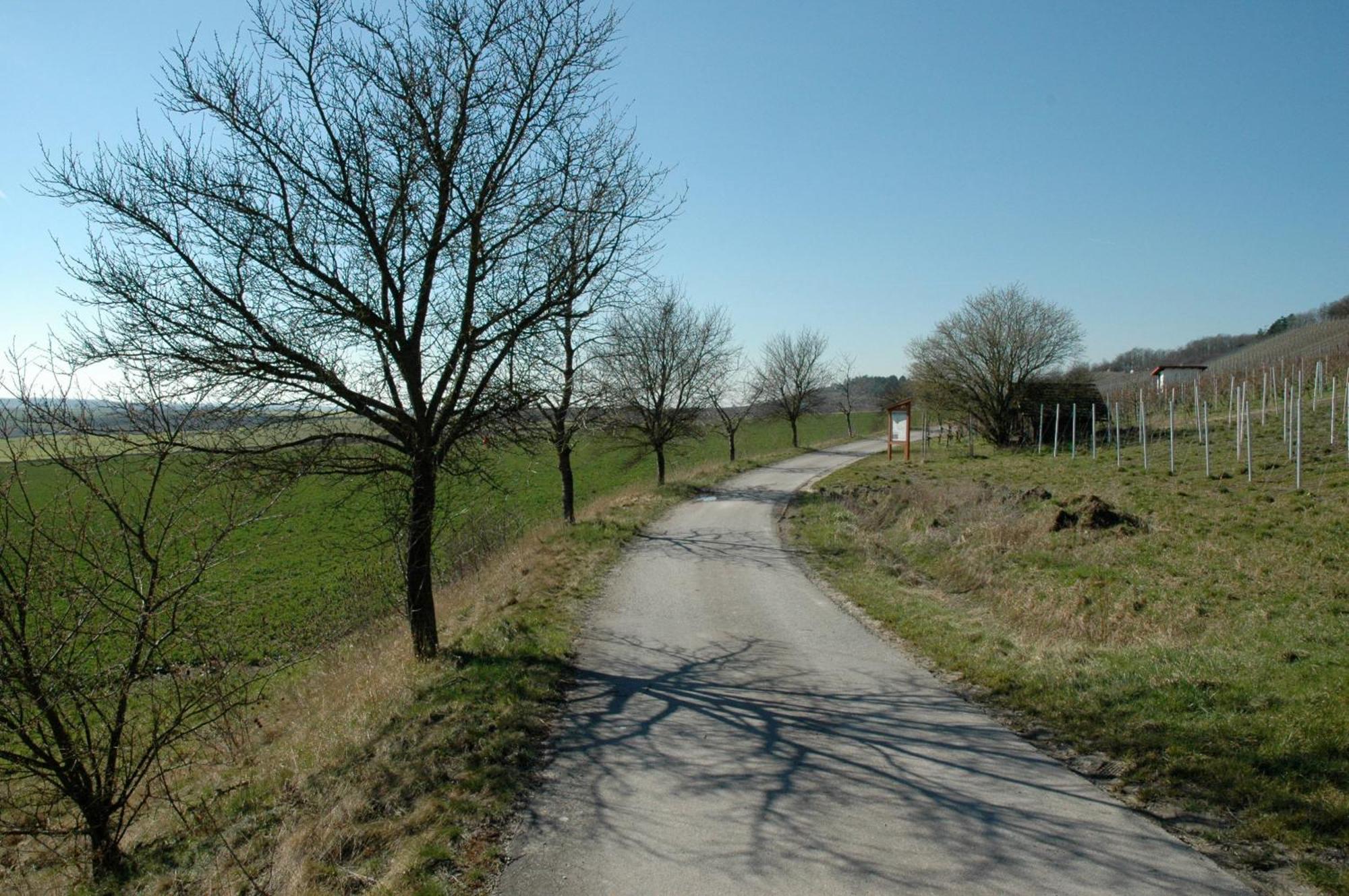 Landgasthof Zum Schwarzen Adler Markt Nordheim Eksteriør billede