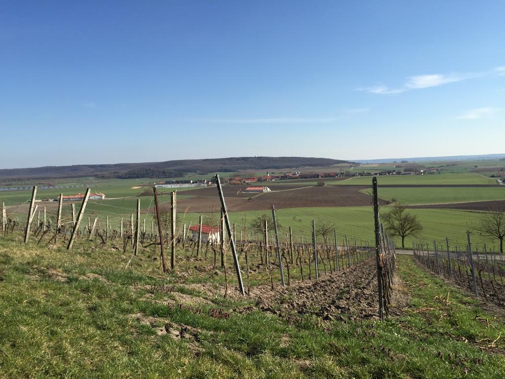 Landgasthof Zum Schwarzen Adler Markt Nordheim Eksteriør billede